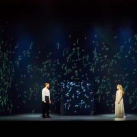forever-van-gogh-08