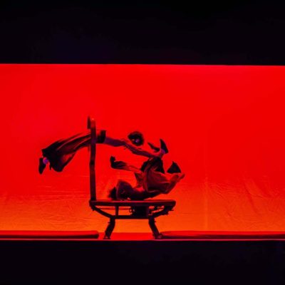 gran-circo-acrobatico-chino07