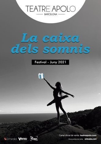 la-caixa-dels-somnis-330x467