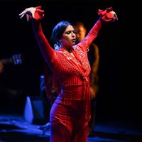 luna-cia-flamenca-rocio-pozo-23