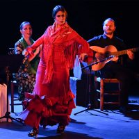 luna-cia-flamenca-rocio-pozo-26