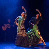 luna-cia-flamenca-rocio-pozo-27