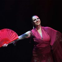 luna-cia-flamenca-rocio-pozo-28