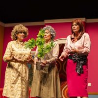 pensionistas-la-comedia19