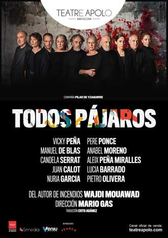 Todos pájaros